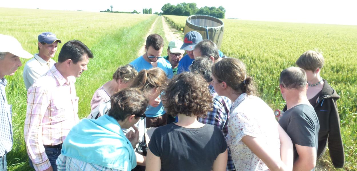Les agriculteurs de la coopérative de Boisseaux s'engagent pour la biodiversité