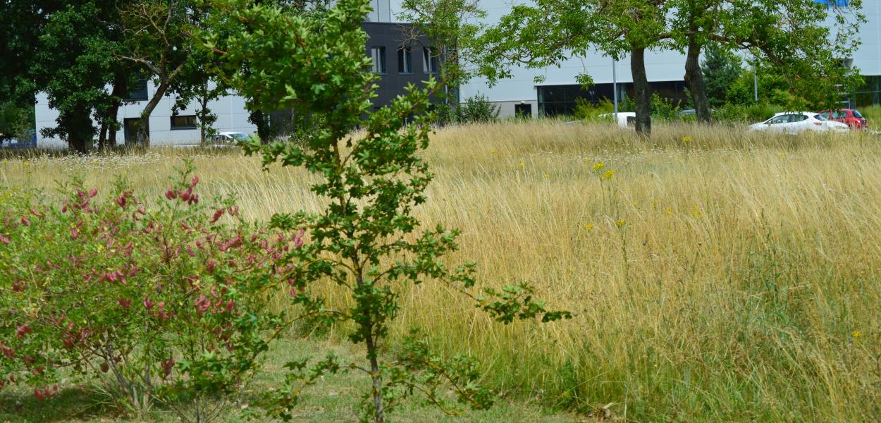 Accompagnement à l'installation des entreprises à Boigny-sur-Bionne (45)