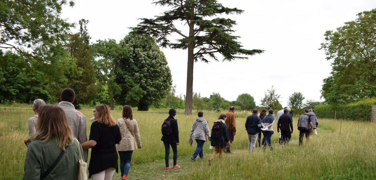 Animation "biodiversité" sur le territoire du PETR Forêt d'Orléans-Loire-Sologne
