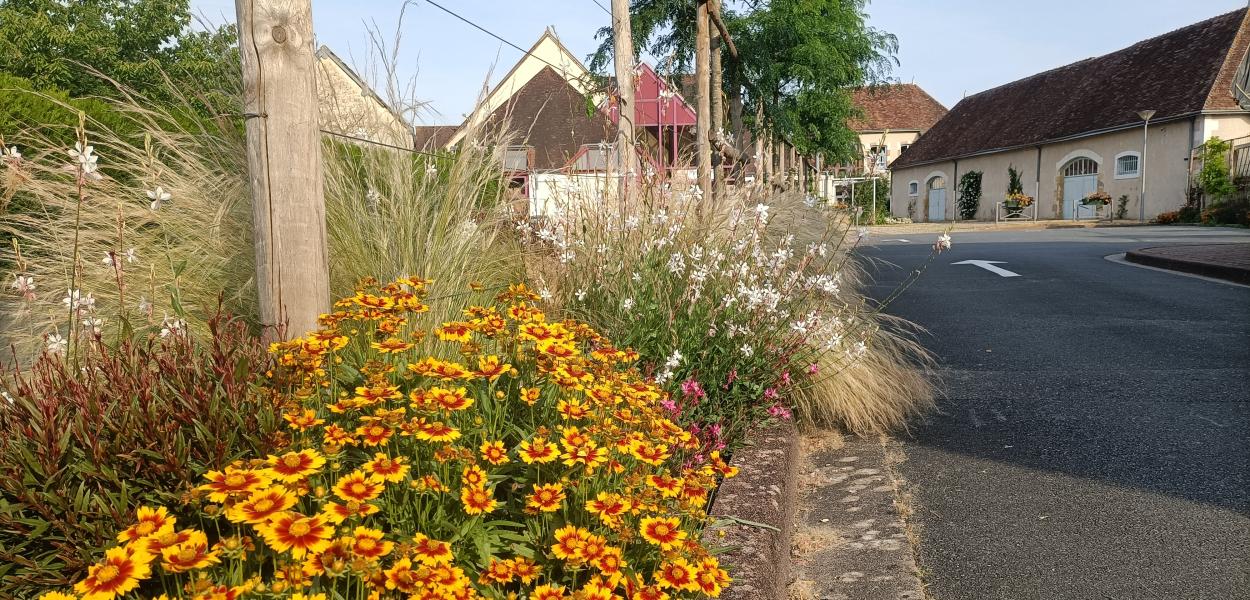 Création d'un îlot de fraicheur aux abords du centre culturel à Buzançais (36)