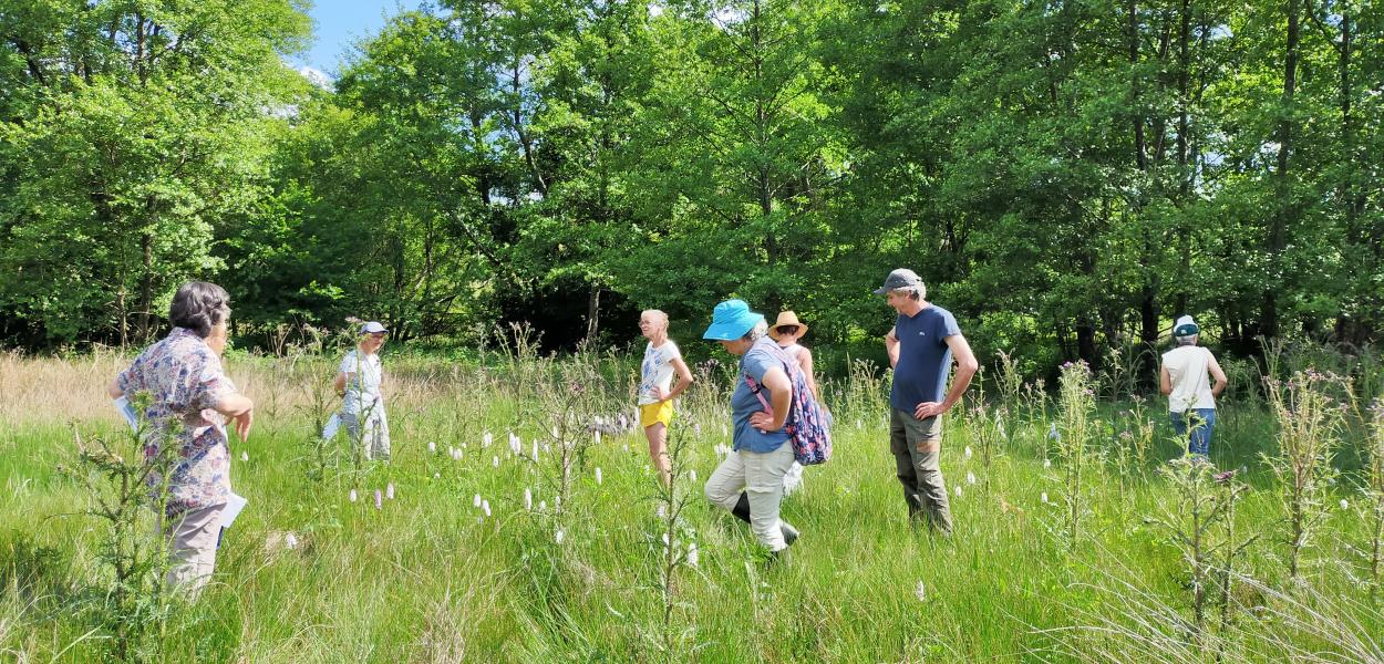 Des prairies naturelles choyées par des éleveur·ses et des botanistes