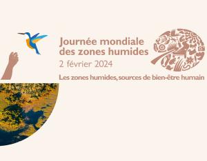 [Mois des zones humides 2024] Animations en région