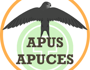 APUS APUCES