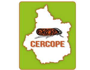 Coordination Entomologique de la Région Centre pour l’Organisation de Projets d’Etudes (CERCOPE)
