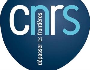 Centre National de la Recherche Scientifique (CNRS)