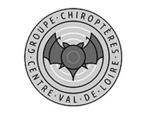 Groupe chiroptères CVL
