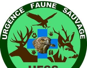 Urgence Faune Sauvage de Sologne