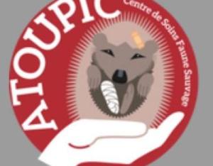 Association ATOUPIC (pour 1 hérisson en détresse, merci d'utiliser le téléphone, pas le mail)