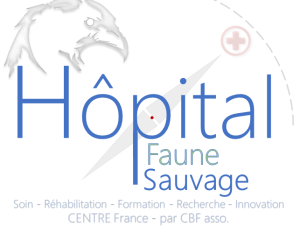 HOPITAL FAUNE SAUVAGE Mornay-Berry (18)