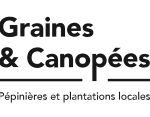 Graines et Canopées