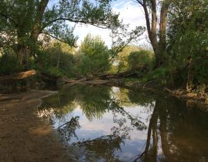 Le PNR Brenne, territoire pilote pour les haies agricoles