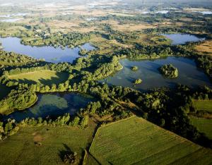 Préserver une des plus grandes zones humides de Centre-Val de Loire | Parc naturel régional de la Brenne