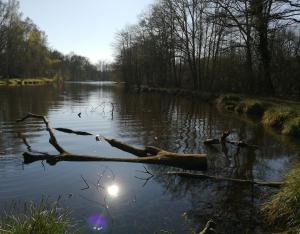 Restaurer les étangs de Sologne | Fédération des chasseurs du Loir-et-Cher