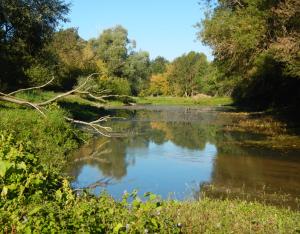 Remettre de la vie dans les rivières | Fédération de pêche d’Indre-et-Loire