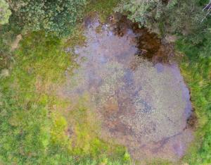 Restaurer les zones humides pour préserver la biodiversité et les continuités écologiques | FNE Centre-Val de Loire 