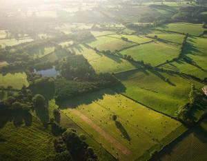 Panorama 2021 : les données de l'année sur la biodiversité régionale