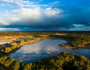 Comprendre l'interdépendance entre l'eau et la biodiversité : les nouvelles données