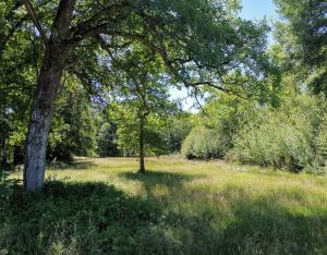 Nouvelle infographie sur la forêt en Centre-Val de Loire