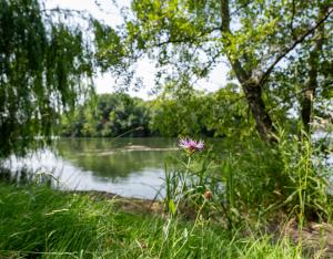 Deux collectivités du Centre-Val de Loire lauréates du concours Capitale Française de la Biodiversité 2025