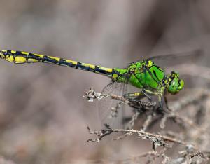 Connaître pour mieux protéger : l'essentiel en 3 minutes !