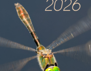 L'édition 2026 des stages en Brenne est lancée par le CPIE