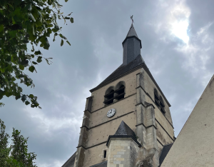 La Fondation du Patrimoine soutient la biodiversité des clochers en Sologne