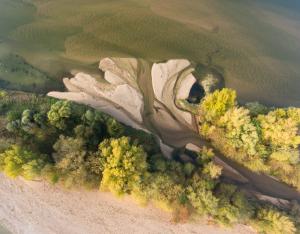 Crues et biodiversité