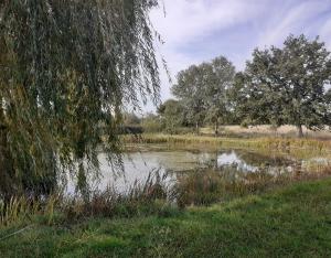 Forum Solutions fondées sur la Nature | Life ARTISAN