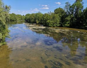 Informer et sensibiliser - enjeux et aides | Agence de l'eau Loire Bretagne