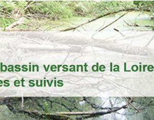La biodiversité alluviale du bassin versant de la Loire 2022