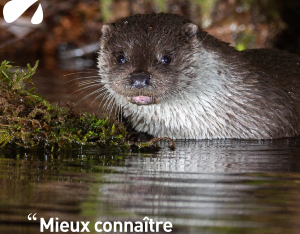 Échange-Live "30 minutes sur la biodiv'"