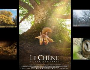 Ciné-échange "LE CHÊNE" avec Laurent Charbonnier