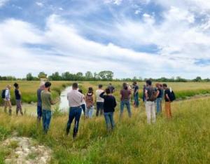 Approches écosystémiques de gestion des Espèces Exotiques Envahissantes | Centre de Ressource Loire Nature