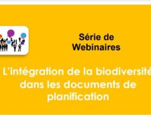 Série de 4 webinaires "L’intégration de la biodiversité dans les documents de planification" | CNFPT - OFB