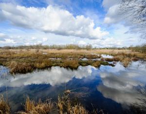 Présentation de l'Appel à Projets Eau et Biodiversité | AESN