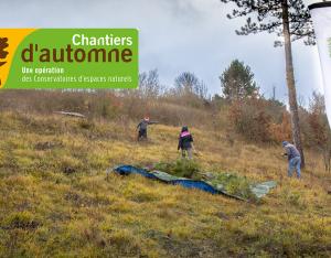 Les Chantiers d'automne, agissez sur le terrain pour la biodiversité ! | Conservatoire d'espaces naturels Centre-Val de Loire