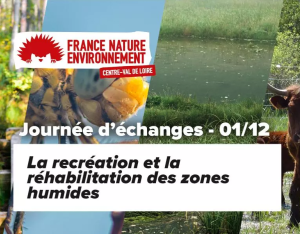 La restauration et la réhabilitation des zones humides | FNE Centre-Val de Loire