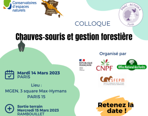 Colloque nationale sur les chauve-souris et la gestion forestière | FCEN