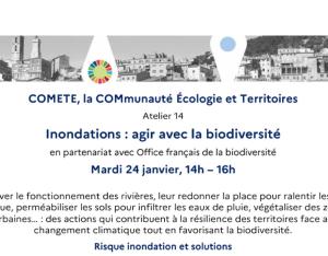 Inondations : agir avec la biodiversité | Réseau COMETE 