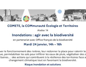 [Webinaire] « Inondations : agir avec la biodiversité » -Réseau COMETE 