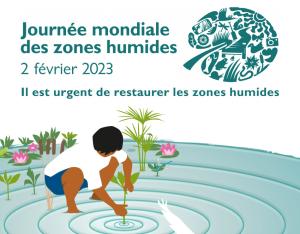 [Mois des zones humides 2023] Animations en région