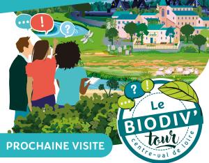 ANNULÉE (orages)//Biodiv'Tour : visite autour de l'éclairage et la biodiversité à Bourges (18)