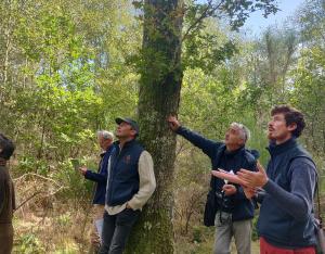 Réunion forestière : Diagnostiquer la biodiversité dans sa forêt et préserver le milieu naturel