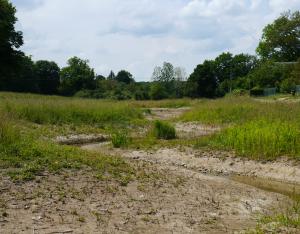 Restauration des cours d'eau: approche à large échelle | OFB et OIEau