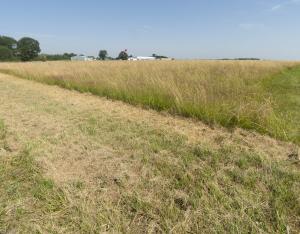 L'aéroport Tours Val de Loire obtient le label AéroBio ! 