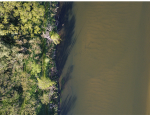 Comment renforcer la coopération et la construction de projets entre chercheurs et gestionnaires sur le bassin de la Loire ? | pôle Loire de la Fédération des Conservatoires d’espaces naturels & Zone Atelier Loire.