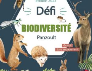 Défi citoyen pour la biodiversité à Panzoult (37) - Journée d'inventaires naturalistes