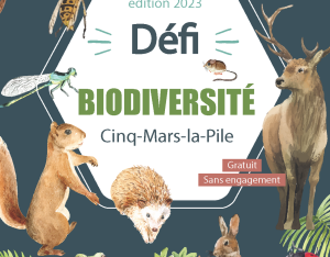 Défi citoyen pour la biodiversité à Cinq-Mars-la-Pile (37) - Découverte des espèces rares et/ou patrimoniales