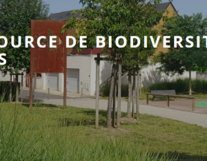 La nature, source de biodiversité dans les petites villes | CEREMA - ANCT