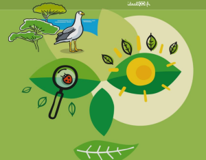 Assises Nationales de la Biodiversité | IdéalCO